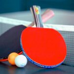 Tennis de table Sablonceaux